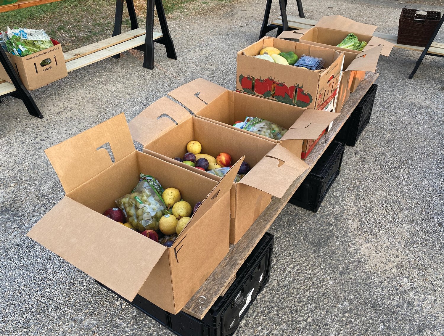 Renee Trip sells 18-pound boxes of vegetables, fruits or a mixture of both, to support her mission to bring affordable produce to the area.